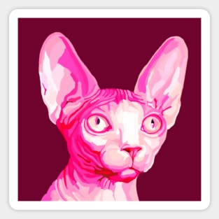 Pink Hairless Sphynx Cat Portrait Magnet